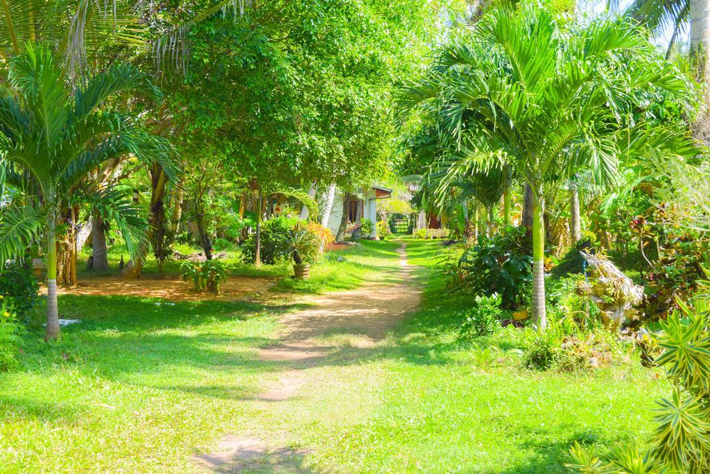 Shammie Guest House Hikkaduwa Ngoại thất bức ảnh